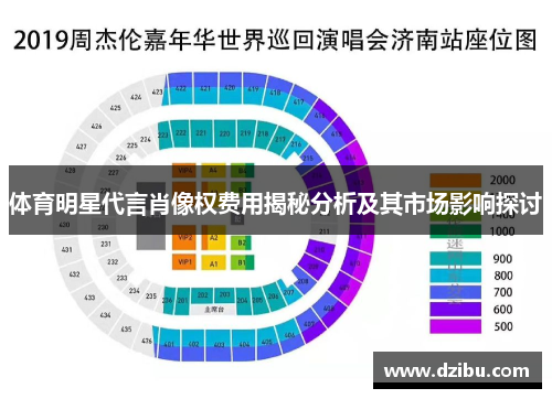 体育明星代言肖像权费用揭秘分析及其市场影响探讨