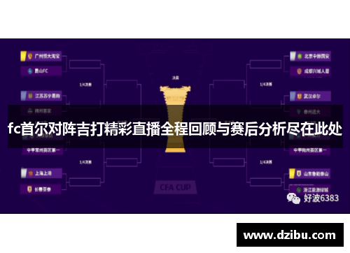fc首尔对阵吉打精彩直播全程回顾与赛后分析尽在此处