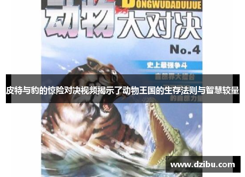 皮特与豹的惊险对决视频揭示了动物王国的生存法则与智慧较量
