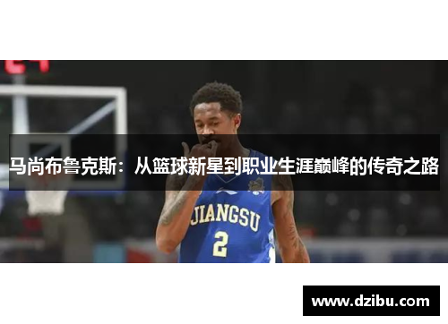 马尚布鲁克斯：从篮球新星到职业生涯巅峰的传奇之路